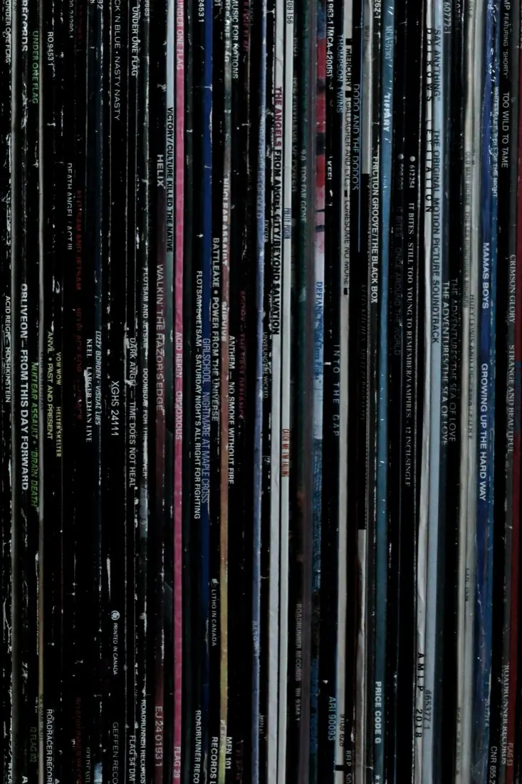 Plattensammlung quer durch die Genres